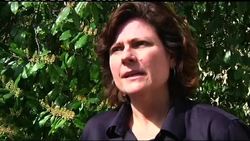 Fight against primate heart disease News Clip