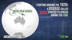 The Health Benefits of ... Cannibalism Instructional Video