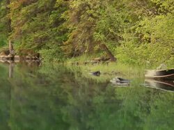 Reflections of forest and Canoes in Lake Stock Footage