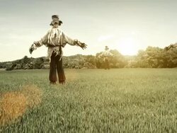 Scarecrows in the field Stock Footage