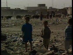 RR0240/A  Iraq: Sanctions News Clip