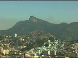 Rodent reintroduced to the wild to save local forest News Clip