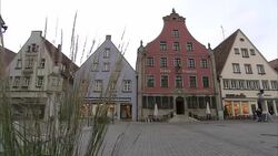 Long grasses frame a view of a row  of shops in Frankfurt, Germany. Stock Footage