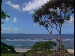 WRAP File of South Pacific islands, New Zealand news, adds stills Instructional Video