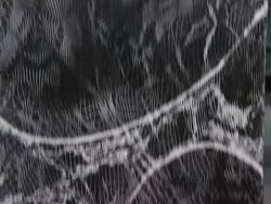 ATMOSPHERE: signage and art at "Block Party 2012" Hosted By The Horticultural Society of New York Stock Footage