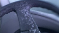 Ice crystals form on the inside of a vehicle stuck in the snow after a blizzard. Stock Footage