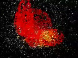 GALACTIC MARKERS : (LOOP) Stock Footage