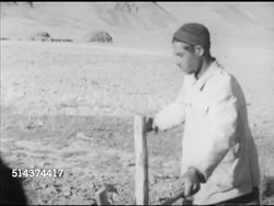 1952: IRANIAN AGRICULTURE: VS Peasant farmer farming, plowing field w/ harnessed cattle, VS Women planting seedlings in sandy soil, VS Children outside mud walled home, child playing w/ washing in bucket, woman sifting grain w/ large hand sifter. Instructional Video