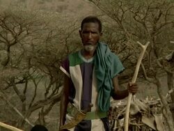 Man holding wooden stick with knife in his belt Stock Footage
