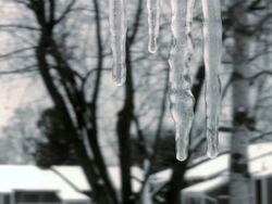 frost, ice, icicle, icy, melt, nature, outdoors, snow, weather, winter, Stock Footage