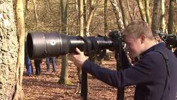 Snapper Filming Prince Harry with Very Long Lens News Clip