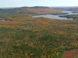 WS ARIEAL View of wooded area with small lake / Maine, United States Stock Footage