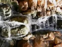 monkey and waterfalls Stock Footage