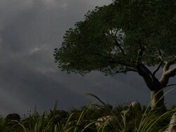 Tree with rays of light Stock Footage