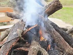 Fire caused by burning wood. Stock Footage