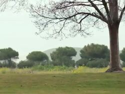 Bicycle Racers, miscellaneous shots Stock Footage