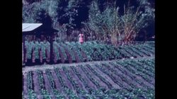 GS 14 10 81 REPORT ON GUATEMALA SOCIAL AND POLITICAL SITUATION News Clip