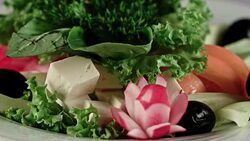 Plate wiith vegetarian snacks Stock Footage