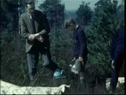 April 1951. Picnic Stock Footage