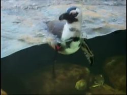 A museum dedicated to green themes News Clip