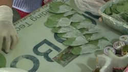 CLEAN : Alarm sounded over Myanmars betel habit News Clip