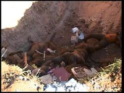 Dead bodies around the Haitian capital GRAPHIC PIX News Clip