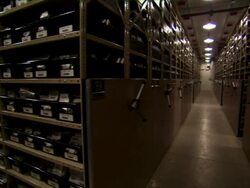 Slow pan of rows of packaged seeds. Stock Footage