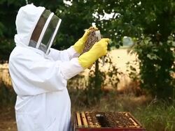 Views of a Bee Keeper in Somerset Stock Footage
