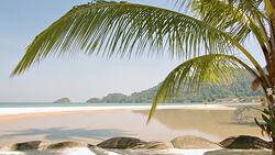 Tropical beach Stock Footage