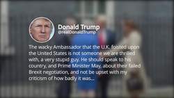 Sir Kim Darroch resigns as ambassador to the US News Clip
