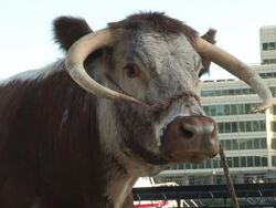 Atmosphere Stock Footage