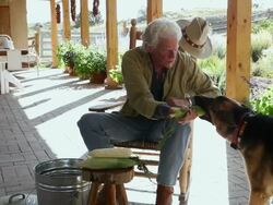 MS Man playing with his dog on his porch / Lamy, New Mexico, United States Stock Footage