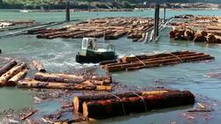 Logging Industry Squamish Stock Footage