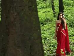 Woman in a forest, Malshej Ghat, Maharashtra, India Stock Footage