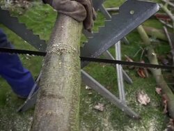 SLOW MOTION: Saw Stock Footage