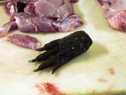 Market For Alligator Meat Booms In Florida Stock Footage