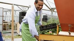 Nursery employees run planters through plant potting machine Stock Footage