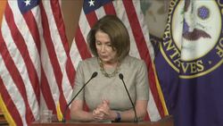 Pelosi, Ryan Square Off on Flynn Debacle, Leaks Instructional Video