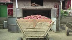 Painting the town red with chilli and bell peppers Instructional Video