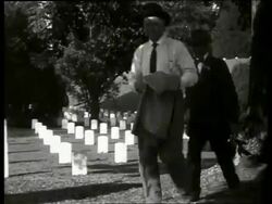 B/W Civil War veterans walk thru National Cemetery / Vicksburg, Mississippi / NO SOUND Stock Footage