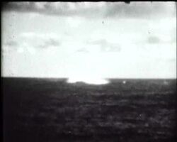 PLANE CRASH - ALL SAVED News Clip