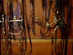  MS TD TU Horse tack on  wall of barn / Los Angeles, CA, United States Stock Footage