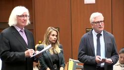 Playmate Pleads No Contest for Nude Woman Post Instructional Video