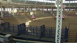 Crowds watch Mexican drill riding display News Clip
