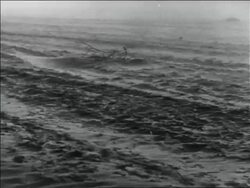 B/W 1936 dust blowing over dusty plain in storm / Dust Bowl / USA Stock Footage