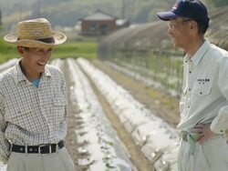MS Shot of Two men farmers have stand talking / Toyooka, Hyogo, Japan Stock Footage