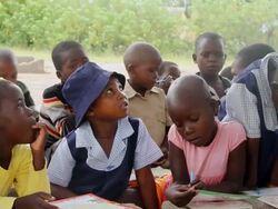 MS Group of eager schoolchildren observing teacher / Save Valley, Southern Zimbabwe, Zimbabwe Stock Footage