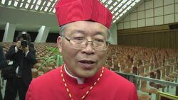 New cardinals meet their families and media at the apostolic palace News Clip