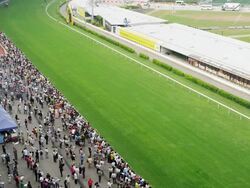 Spectators waiting for a new Race to Start Stock Footage