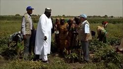 CLEAN : Nigerian farmers ask UN for agric inputs to end food shortage News Clip